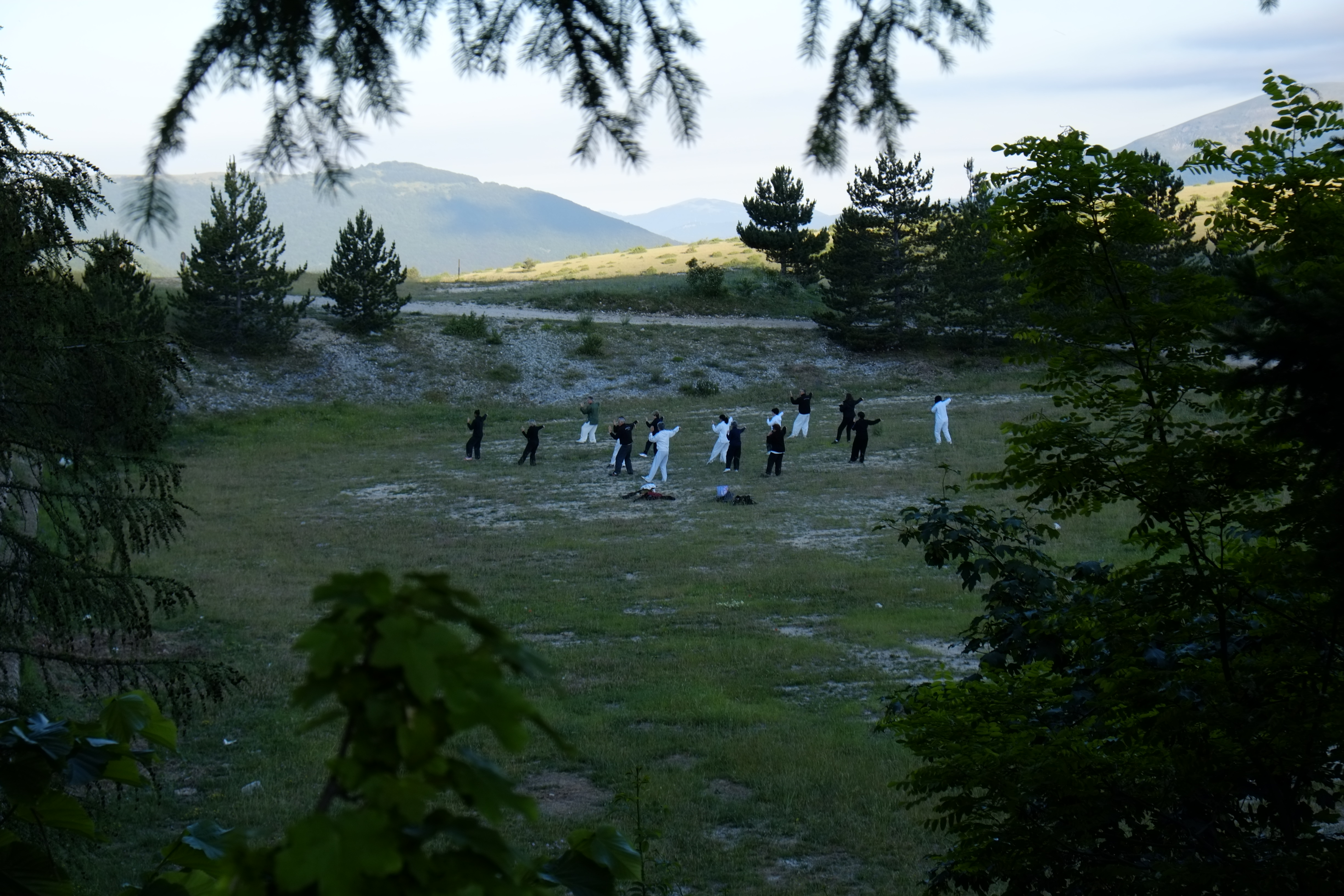 Tai Chi posture